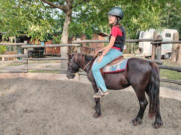 Pony riccardo