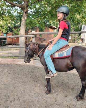 Pony riccardo
