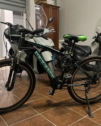 bicicletta sovrano