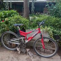 BICICLETTA  RAGAZZO RAGAZZA 