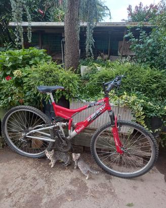 BICICLETTA  RAGAZZO RAGAZZA 