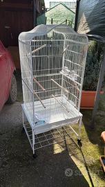 gabbia per pappagalli
