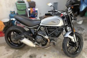 Ducati Scrambler 800 icon