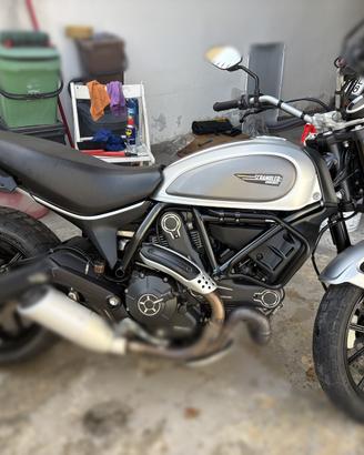 Ducati Scrambler 800 icon