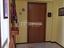 Immagine 7