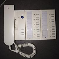 TCS stazione audio / citofono