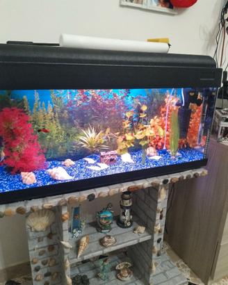 Acquario