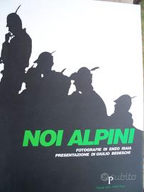 NOI ALPINI