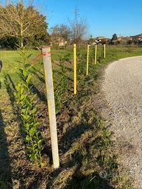 Terreno ortivo con pozzo