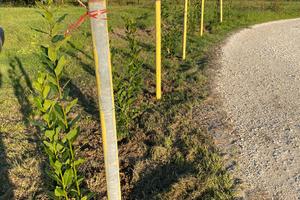 Terreno ortivo con pozzo