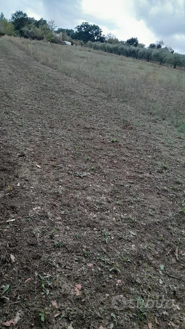 Terreno con rudere - Altro