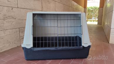 TRASPORTINO CANE