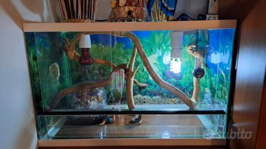 Terrario  tartarughe/serpenti