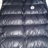 smanicato north sails 