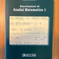 Esercitazioni di Analisi Matematica 1 - Bramanti