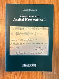 Esercitazioni di Analisi Matematica 1 - Bramanti