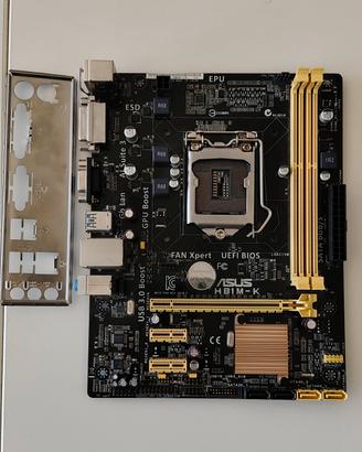 Asus H81M-K Scheda madre