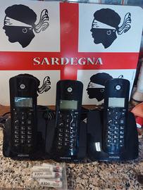 cordless triplo