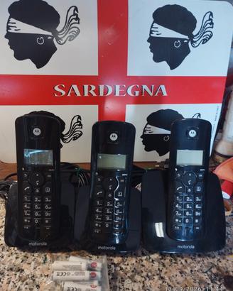 cordless triplo
