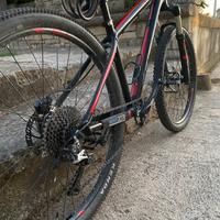 Focus black forest 27.5