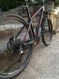 Focus black forest 27.5