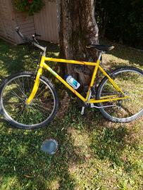 bicicletta mtb