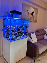 Acquario 200L