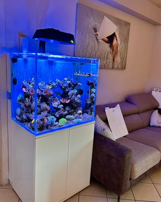 Acquario 200L