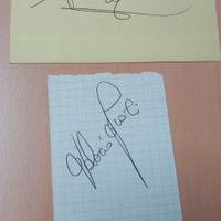 Autografi