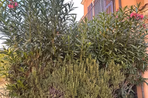 Appartamento arredato in piccolo stabile a Nurachi