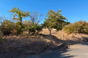 Terreno 1100 mq con pozzo e alberi da frutto