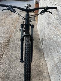 Specialized Turbo levo