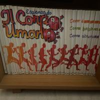 Esplorando il corpo umano