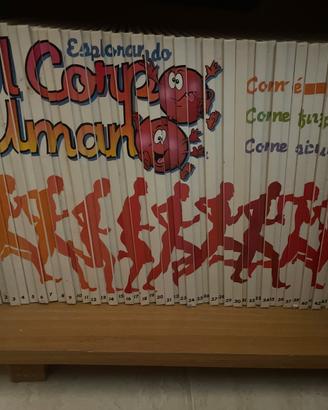 Esplorando il corpo umano