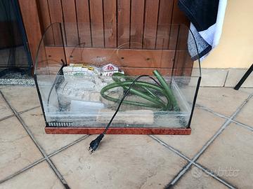 acquario per tartarughe 