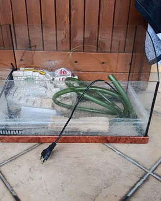 acquario per tartarughe 