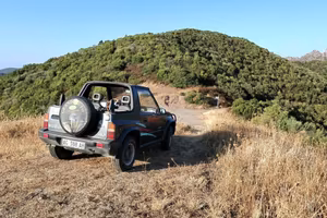 Suzuki Vitata Jlx cabrio 1990