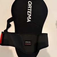 PARASCHIENA  ORTHEMA