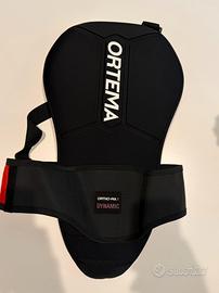 PARASCHIENA  ORTHEMA