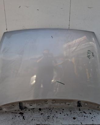 51701140 COFANO ANTERIORE FIAT PUNTO EVO (199) 1.3