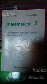 Matematica 2 e 3 ed. Cedam