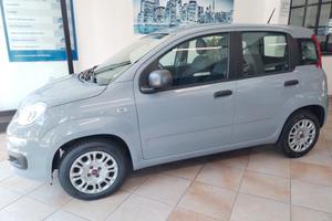 Fiat Panda 1.2 Easy - 11/2020