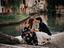 Immagine 2
