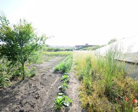 Terreno Agricolo Nocera Inferiore