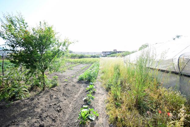 Terreno Agricolo Nocera Inferiore