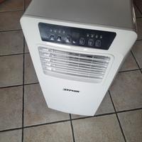Condizionatore portatile ZEPHIR ZPC9000H