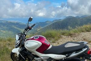 Suzuki gladius 650
