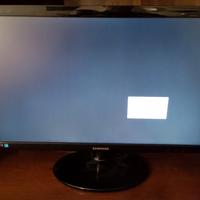 monitor Samsung 24 pollici 
