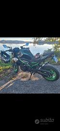 Kawasaki Z 900 - 2025