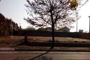 Terreno edificabile